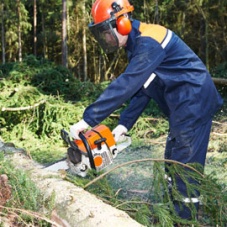 Chainsaw Work Gloves